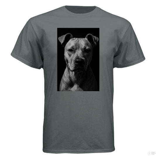 Charcoal gray short sleeve t-shirt from K&M Paw Co., featuring a minimalist, modern style for pet owners