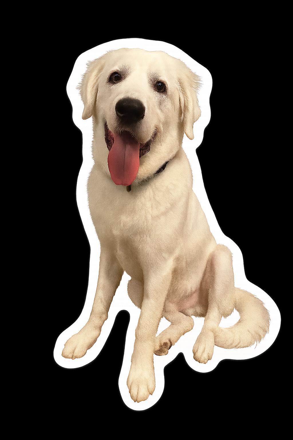 Milo the Magnificent sticker from K&M Paw Co., featuring a playful Great Pyrenees dog illustration with a sunset background, designed for pet lovers who appreciate premium quality, meaningful simplicity, and modern style